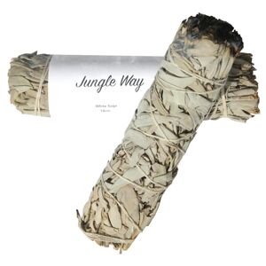 Jungle Way Šalvěj bílá (18 cm)  1 ks