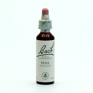 
Dr. Bach Esence Pine 20 ml
		