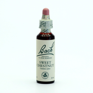 
Dr. Bach Esence Sweet Chestnut 20 ml
		